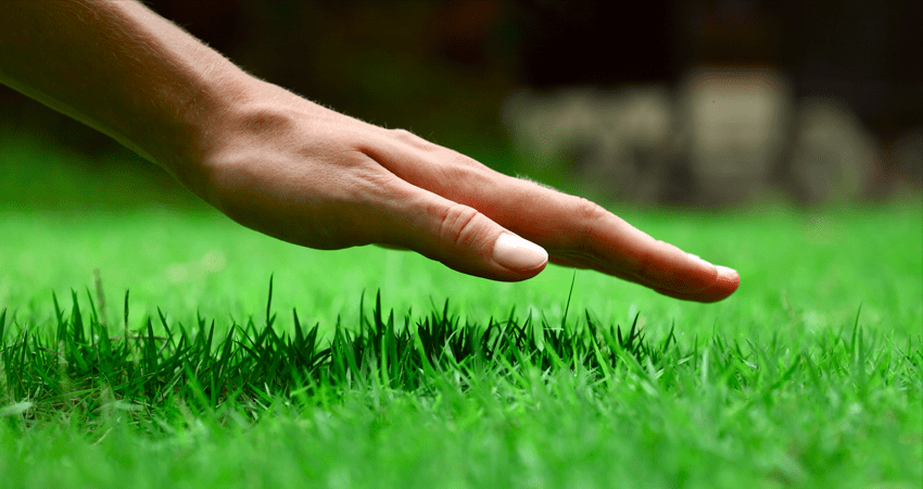 Lawn Care Blue Springs, Independence, Lee's Summit hand on Grass