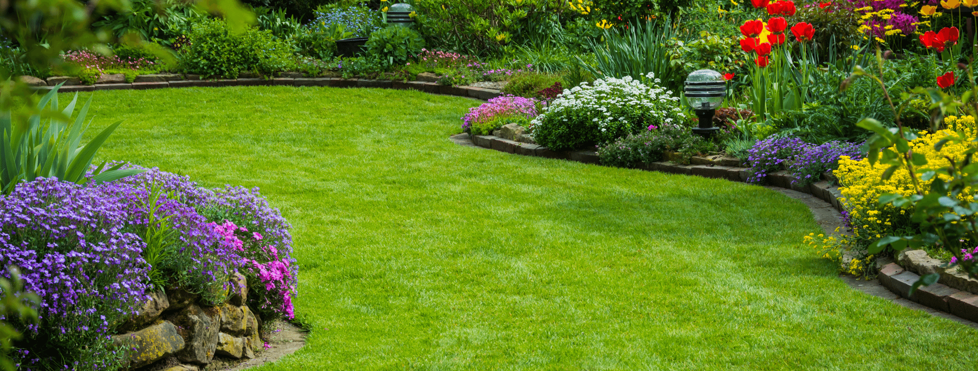 Lawn Care Independence Kansas City Blue Springs Green Lawn