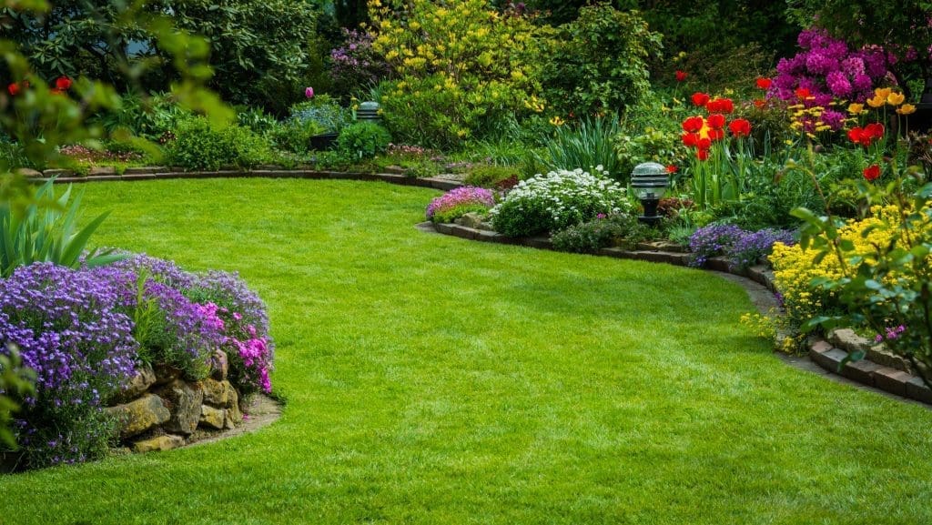 Lawn Care Kansas City