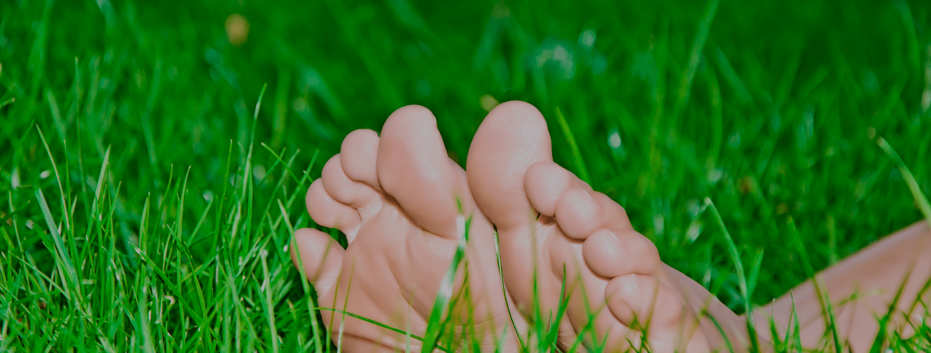 Reconnect with your lawn and enjoy your outdoor living space