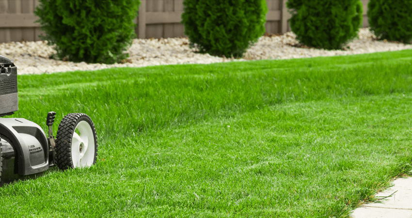 lawn care kansas city independence blue springs lees summit