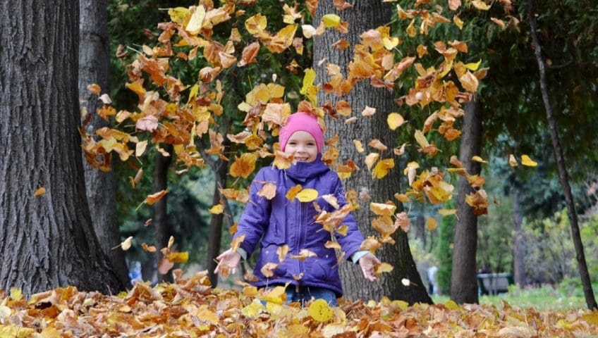 fall cleanup kansas city