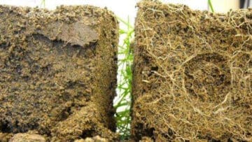 Soil Builder Healthy Soil Comparison