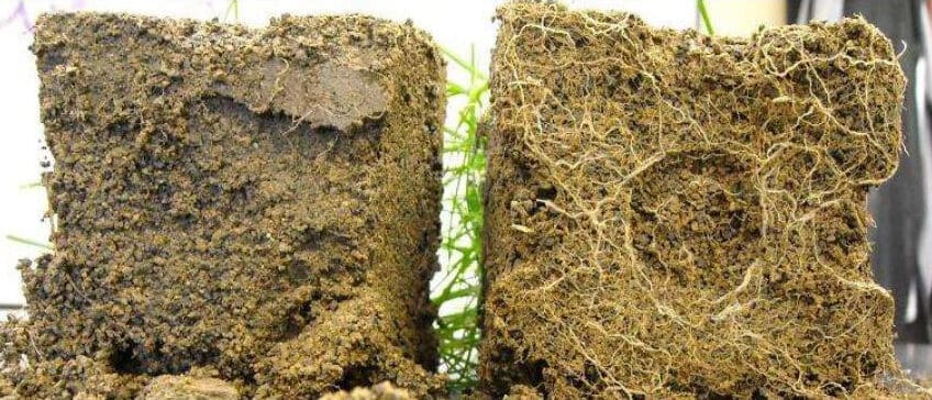 Soil Builder Healthy Soil Comparison