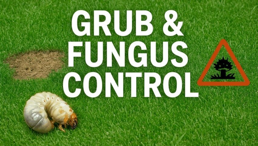 Grub and Fungus Control Image