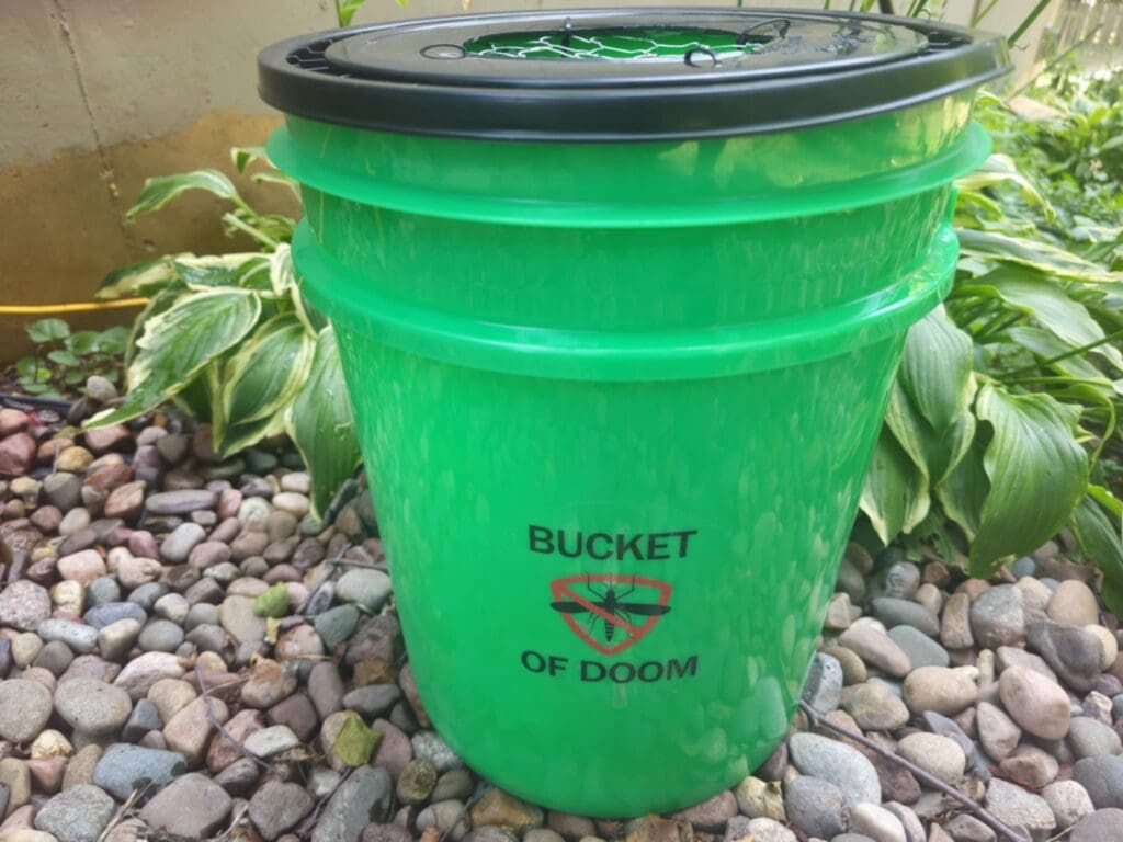 Mosquito Bucket of Doom